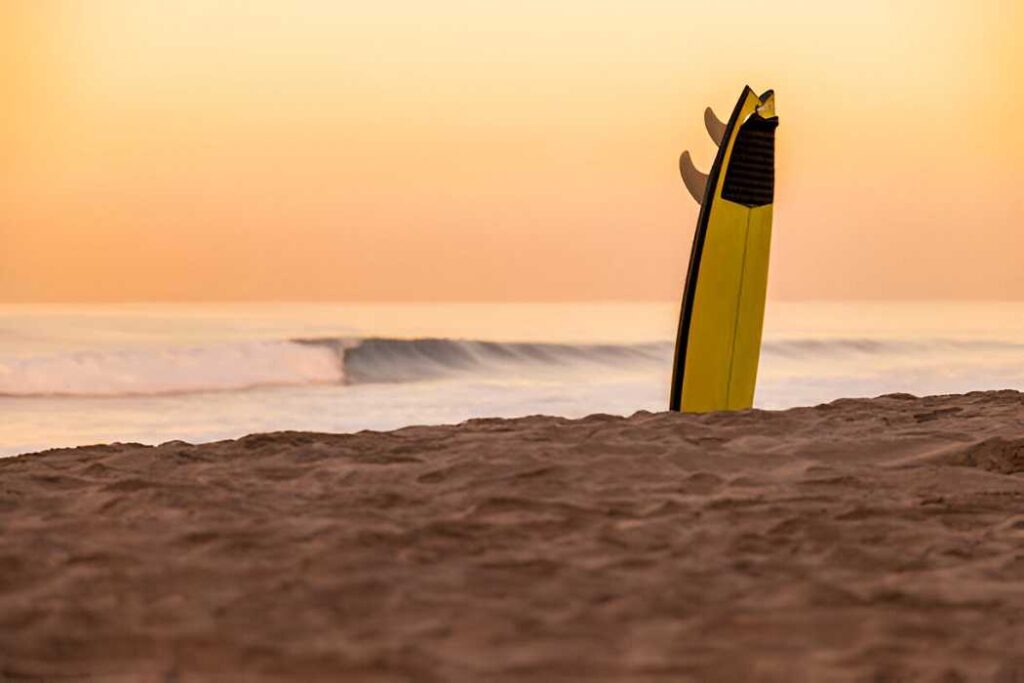 Bob's Board: Your Ultimate Surf & Skate Shop 1. About Bob's Board 